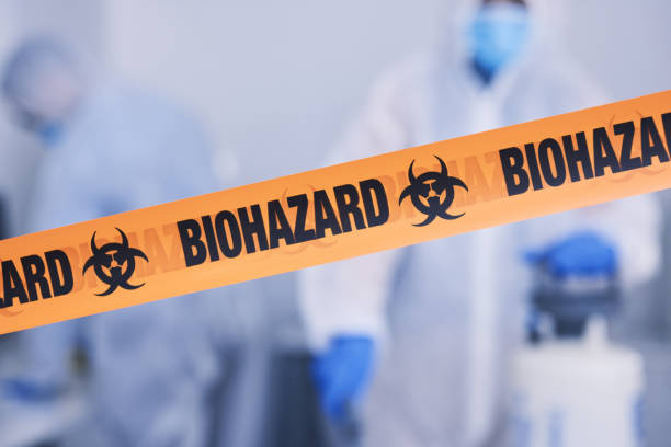 Professional Hoarding Cleanup technician working in Honeyville, UT